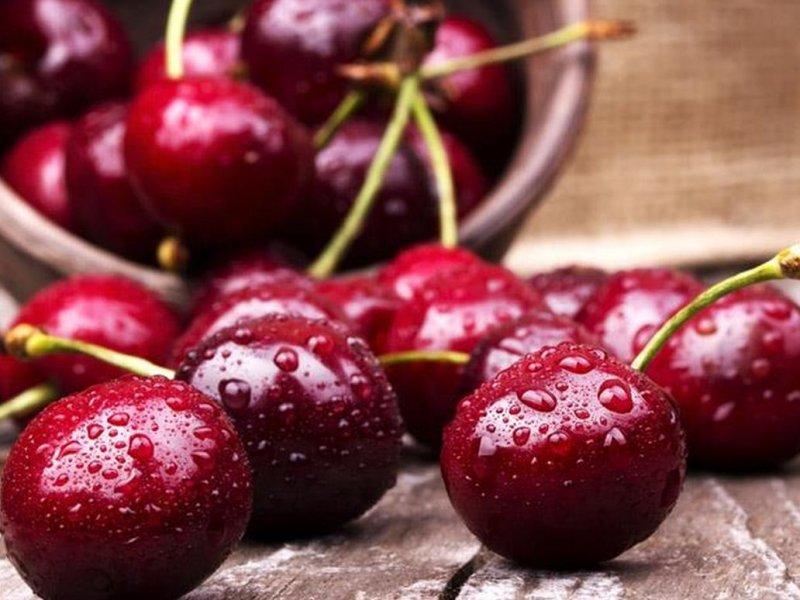 Вишня купить саженцы из питомника в Астрахани